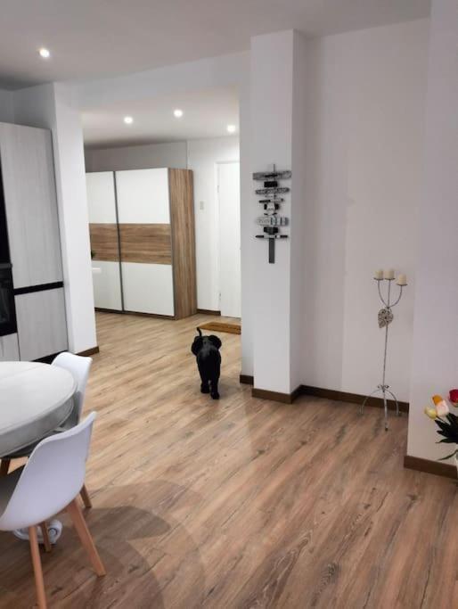 ג'נובה Pisi Home, 2 Min Dalla Spiaggia E Dall' Ospedale Gaslini מראה חיצוני תמונה